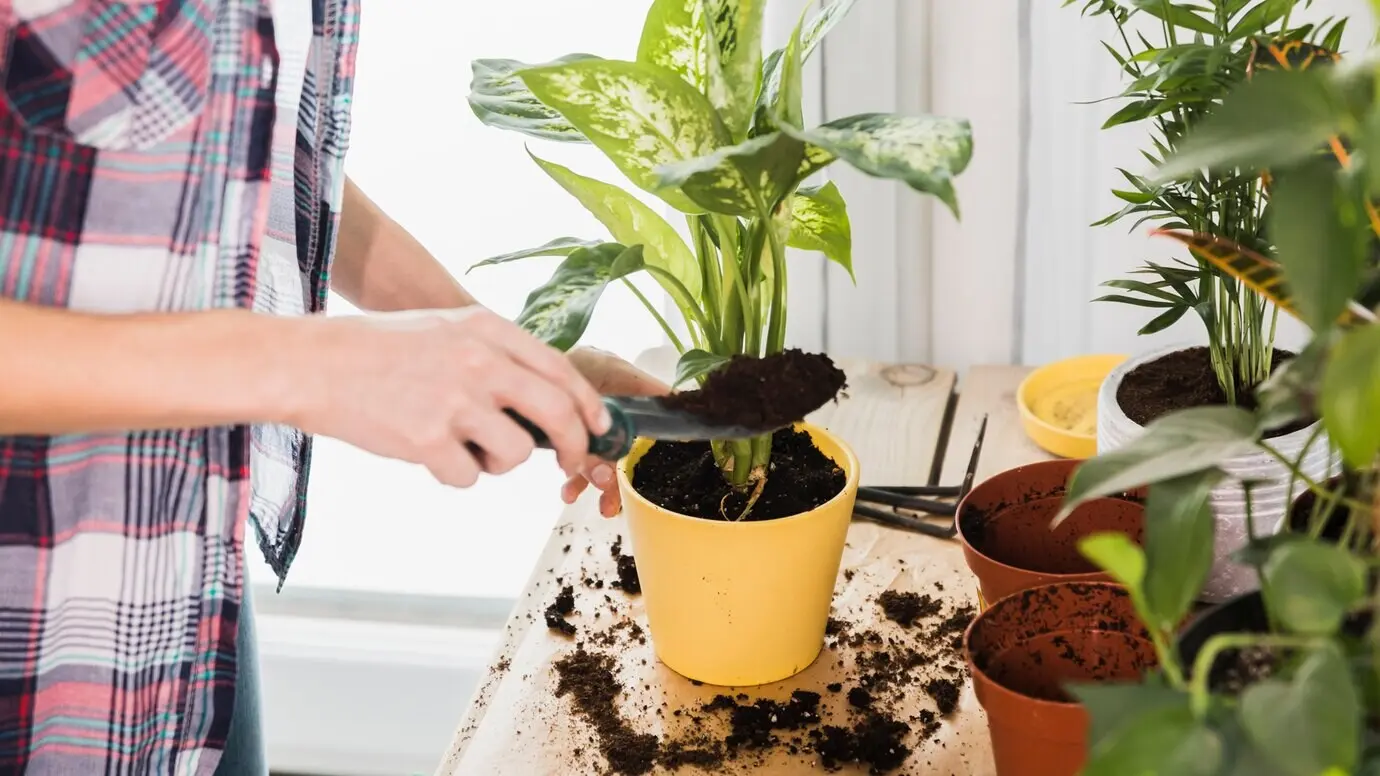Konzept zur Gartenarbeit mit weiblichen Händen